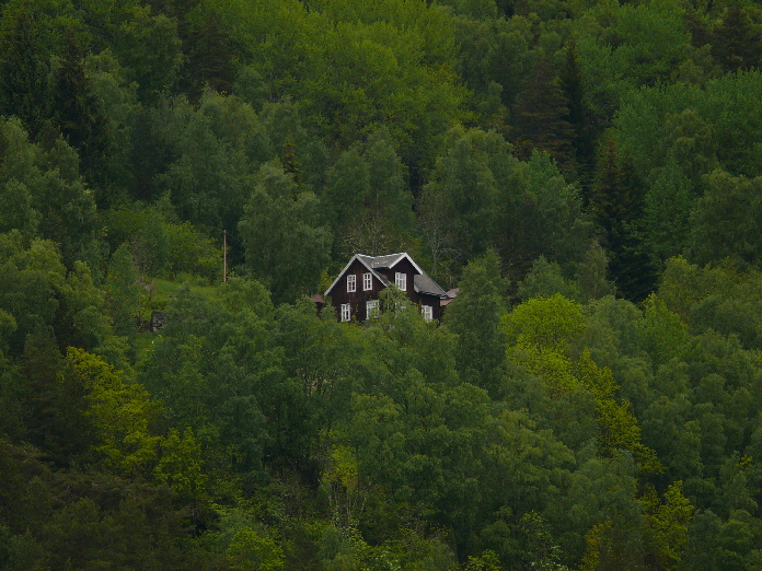 Haus am Hang / a lonely house in the mountains